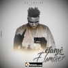Elamiser